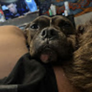 Meet your Posher, Micah